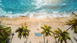 © Prasanth - A natural landscape with palm trees, sandy beach, and volleyball under the blue sky viewed from above