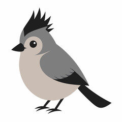 Wall Mural - Tufted Titmouse Vector Illustration Detailed Avian Artwork