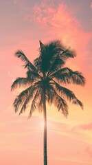 Wall Mural - palm trees at sunset