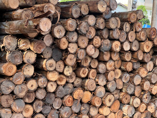 Sticker - wood logs for sale