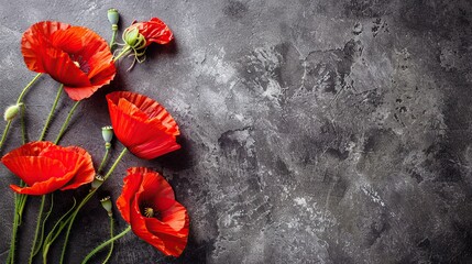 Wall Mural - Red Poppies on Grey Background