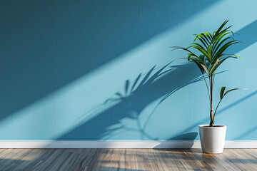 Minimalist room with a single potted plant, blue wall background, hardwood floor, sunlight casting shadows, simple and elegant.