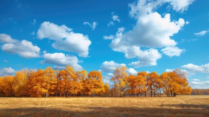 Sticker - autumn in the park