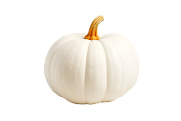 White pumpkin PNG with transparent background for halloween and fall decorations, isolated white pumpkin clipart for seasonal design projects and digital artwork