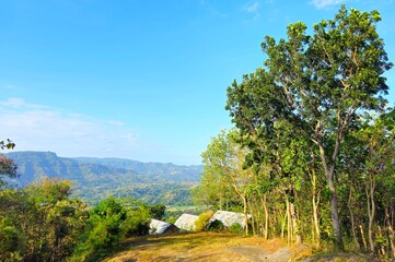 Hillside scenery with rooftops, trees, and a view of hills across the valley under a blue sky.