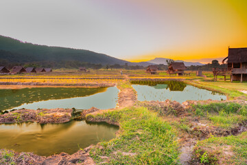 Canvas Print - Evening rice fields at Huay Tung Tao Lake