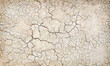 © prapann - Texture of the dried earth with clay and sand, close-up or Brown dry soil or cracked ground texture background.