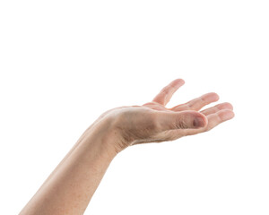Wall Mural - empty mid aged woman hand to hold or show isolated on white