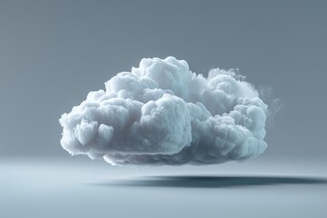 Wall Mural - one white cloud on a light grey background.
