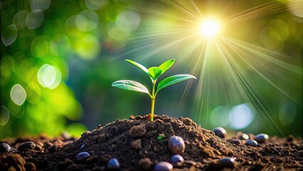 Poster - Little green plant sprouting from soil on World Environment Day, nature, growth, environment, sustainability, earth