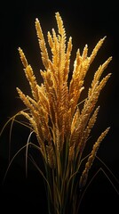 Image shows a bouquet of yellow wheat stalks against a black background.