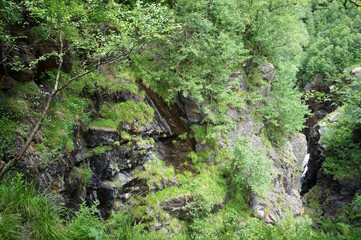 Wall Mural - View of the mountain covered with green grass and trees.