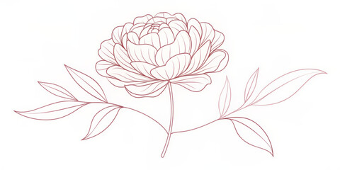 Wall Mural - Delicate one-line art drawing of a blooming peony flower with intricate petals, leaves, and stem in a stylized vector illustration.