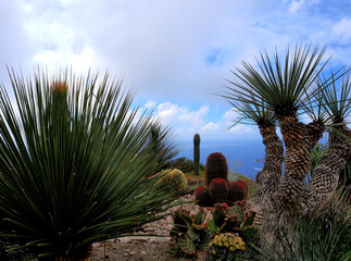 Exotic botanical garden in Eze, France