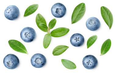 Sticker - blueberry  and leaves on isolated white background, top view