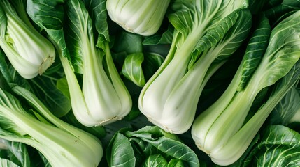 Wall Mural - Photo of bok choy 1