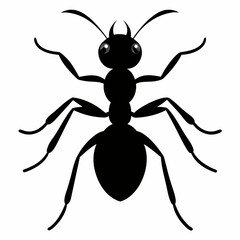 Wall Mural - Ant Vector Silhouette on White Background High-Quality Illustration