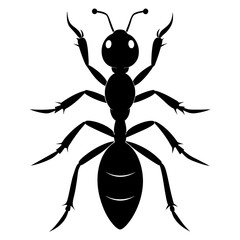 Wall Mural - Ant Vector Silhouette on White Background High-Quality Illustration