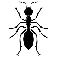 Wall Mural - Ant Vector Silhouette on White Background High-Quality Illustration