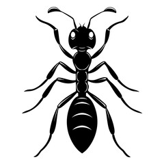 Wall Mural - Ant Vector Silhouette on White Background High-Quality Illustration