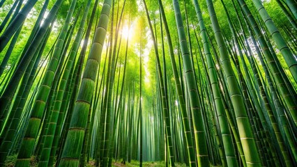 Sticker - of a dense bamboo forest, bamboo, trees, green, lush, nature, tropical, dense, foliage, forest, exotic, plant, jungle, Asian