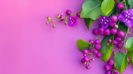 Wall Mural - A purple flower with green leaves is on a pink background. The image has a calming and peaceful mood