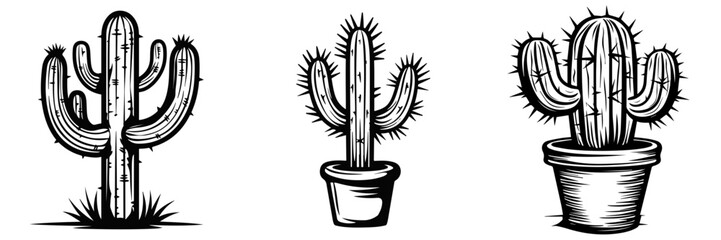 Poster - Hand drawn sketch set of cactus 