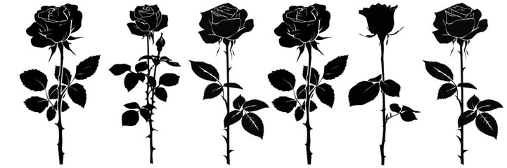 Wall Mural - Hand drawn sketch set of rose