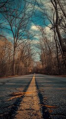 Wall Mural - Empty road in summer through leafless forest with sky 