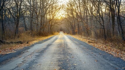 Wall Mural - Empty road in summer through leafless forest with sky 