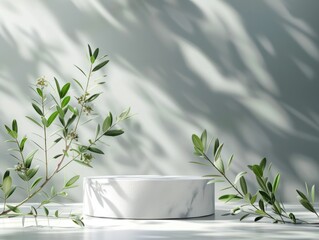 Product display podium for natural product Empty scene with olive tree branch Cosmetic mockup clean