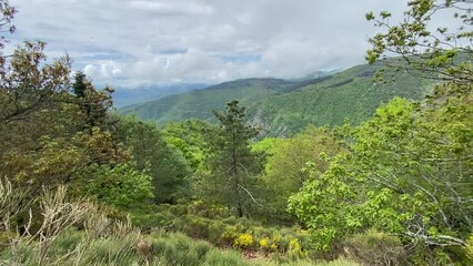 Poster - Paysage de montagne dans les Cévennes