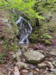 Sticker - Rivière de montagne dans les Cévennes