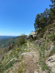 Wall Mural - Chemin de randonnée dans les Cévennes