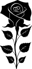 Wall Mural - black graphic drawing of a rose flower with leaves, monochrome, decorative element