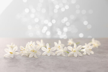 Wall Mural - Beautiful jasmine flowers on grey surface against light background with blurred lights, closeup