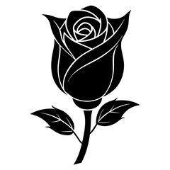 Poster - black rose isolated on white