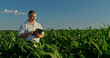 © StockMediaSeller - Farmer using a laptop, standing in the distance among green corn