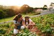 © Hira/peopleimages.com - Tablet, woman and child in farm, teaching and app to check weather for harvest of crop and morning. Outdoor, girl and learning of sustainability, soil testing and agriculture in countryside with mom