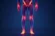 © Georgii - Detailed illustration of human lower body anatomy with highlighted joints and bones