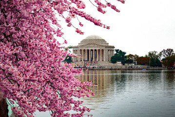 Spring Splendor