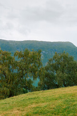 Cultural landscape by Ornes and the Lustrafjorden Fjord, Norway.