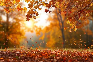 beautiful autumn landscape with yellow trees and sun. colorful foliage in the park. falling leaves n