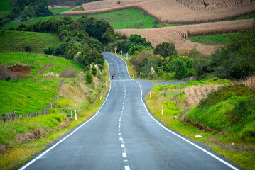 Wall Mural - Kawhia Road 31 - New Zealand