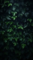 Wall Mural - a dark background with green leaves on it