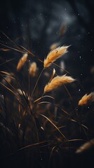 Wall Mural - an image of some tall grass in the dark