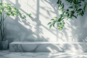 Minimal empty white counter in sunlight, leaf foliage shadow on gray polished white wall