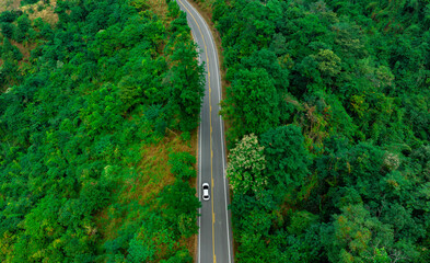 Wall Mural - Aerial view of dark green forest road and white electric car Natural landscape and elevated roads Adventure travel and transportation and environmental protection concept