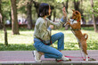 © Михаил Решетников - African dog sabbenji high fives the owner on a walk in the park.