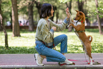 African dog sabbenji high fives the owner on a walk in the park. 